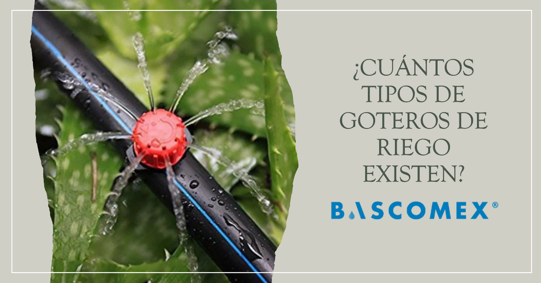 ¿Cuántos tipos de goteros de riego existen?