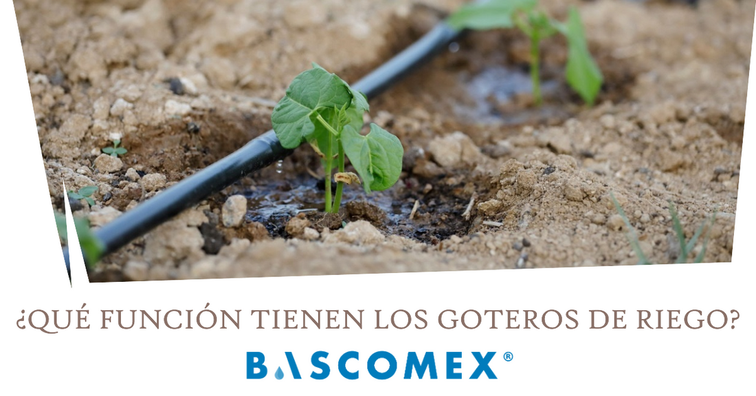 ¿Qué función tienen los goteros de riego?