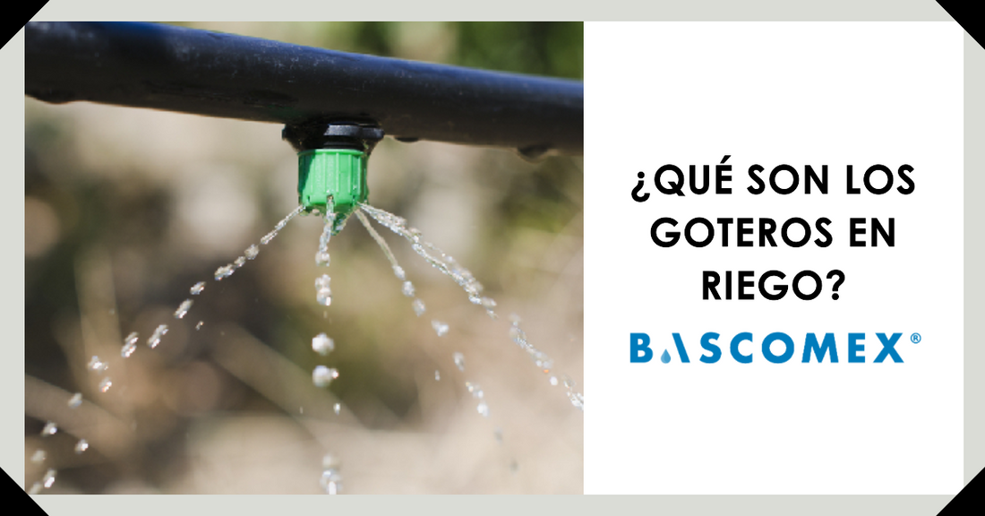 ¿Qué son los goteros en riego?